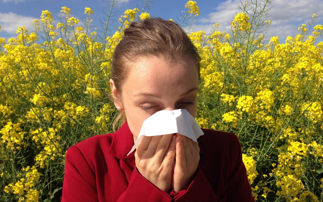 Lidiar con las alergias estacionales este otoño